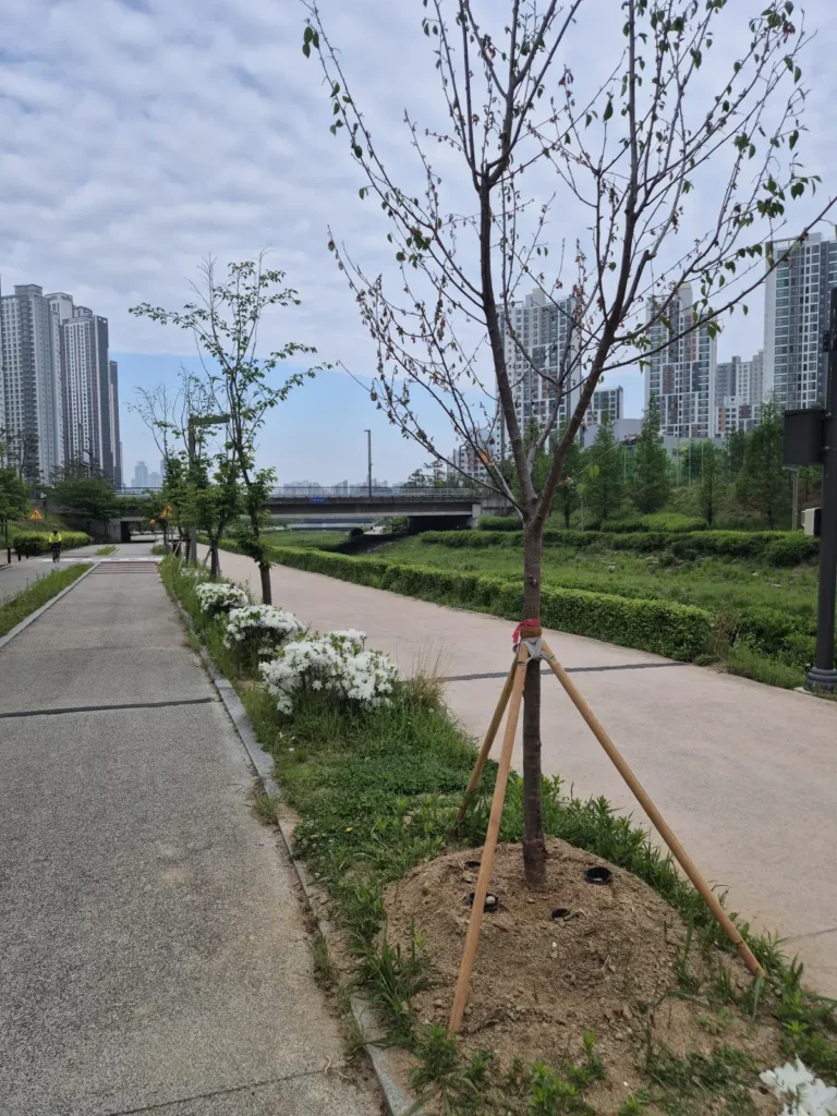 러닝하기 좋은 코스 – 동탄 치동천 추천 하는 이유? - optimized_69f56f9fd52171