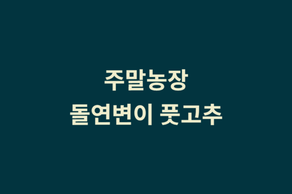 풋고추 돌연변이 발견 – 행운인가? 복권 사?